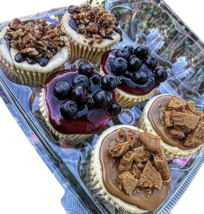 Mini Cheesecakes